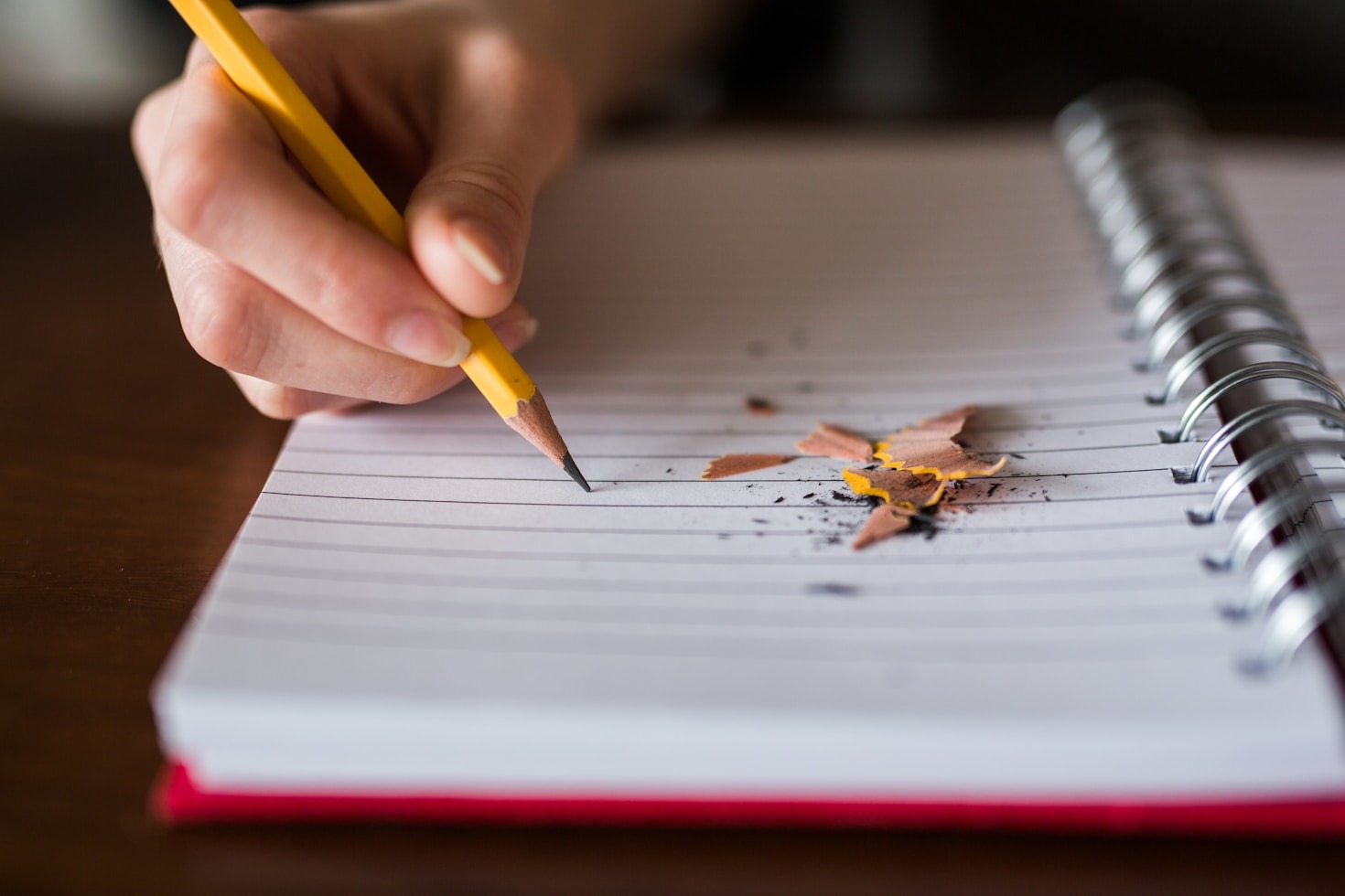 Lessons Learned From Diego’s Academic Studies
